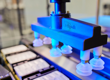 End of Line Automated Case Packaging Systems