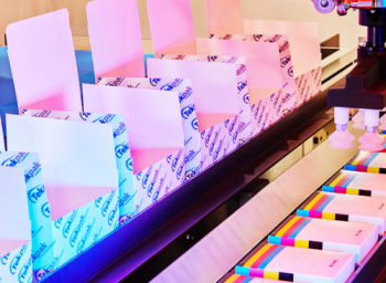 End of Line Packaging Cartoning Systems