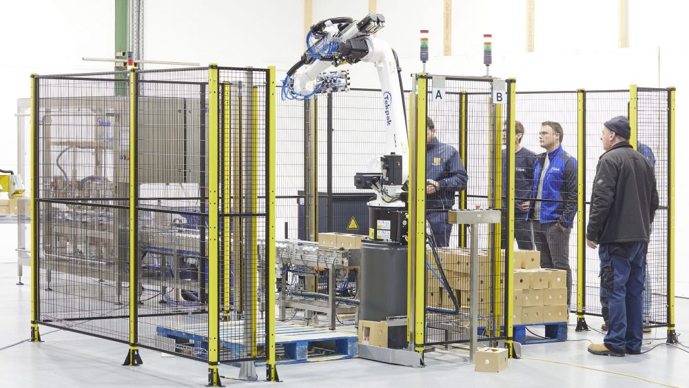 End Of Line Packaging Case Palletising Cell -2