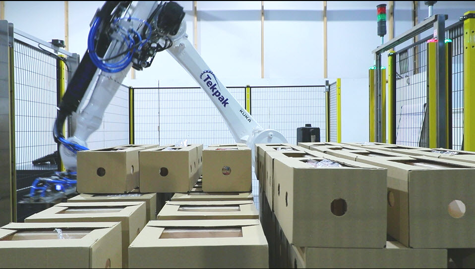 6-Axis Robotic Palletiser