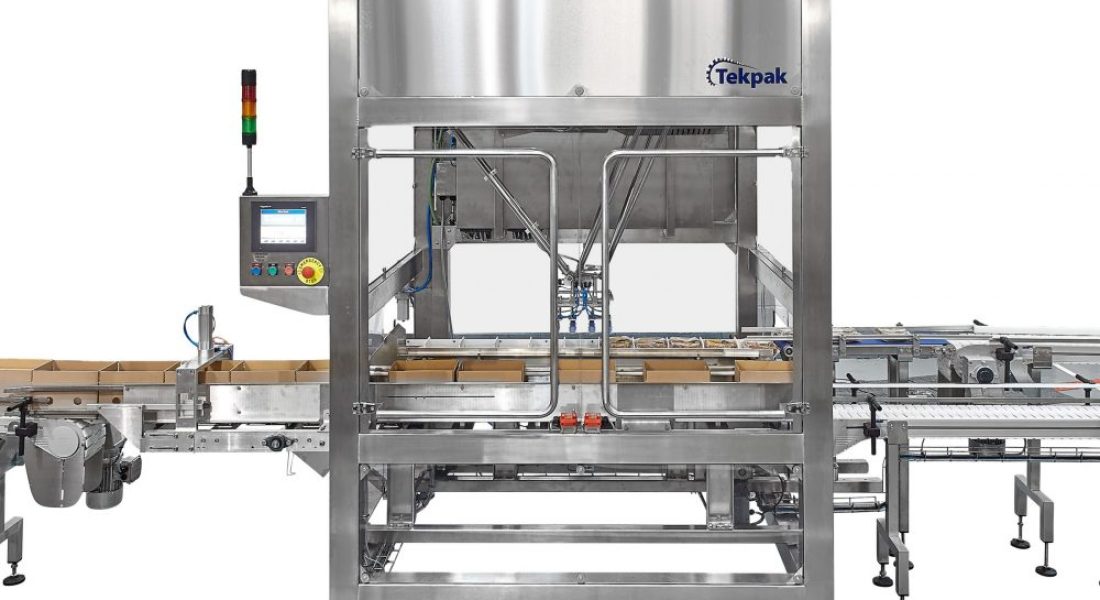 Case Packing System Top Loading