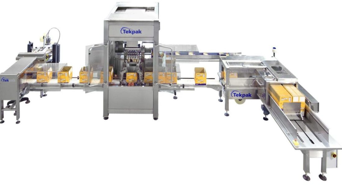 Top Load Case Packing System with Case Erector and Case Closing_3